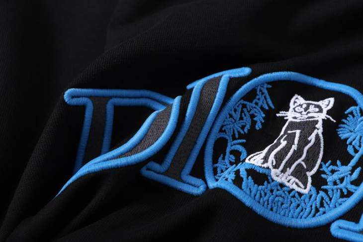 Dior T Shirts Short _SKUDiorS-2XL12dtr0616161